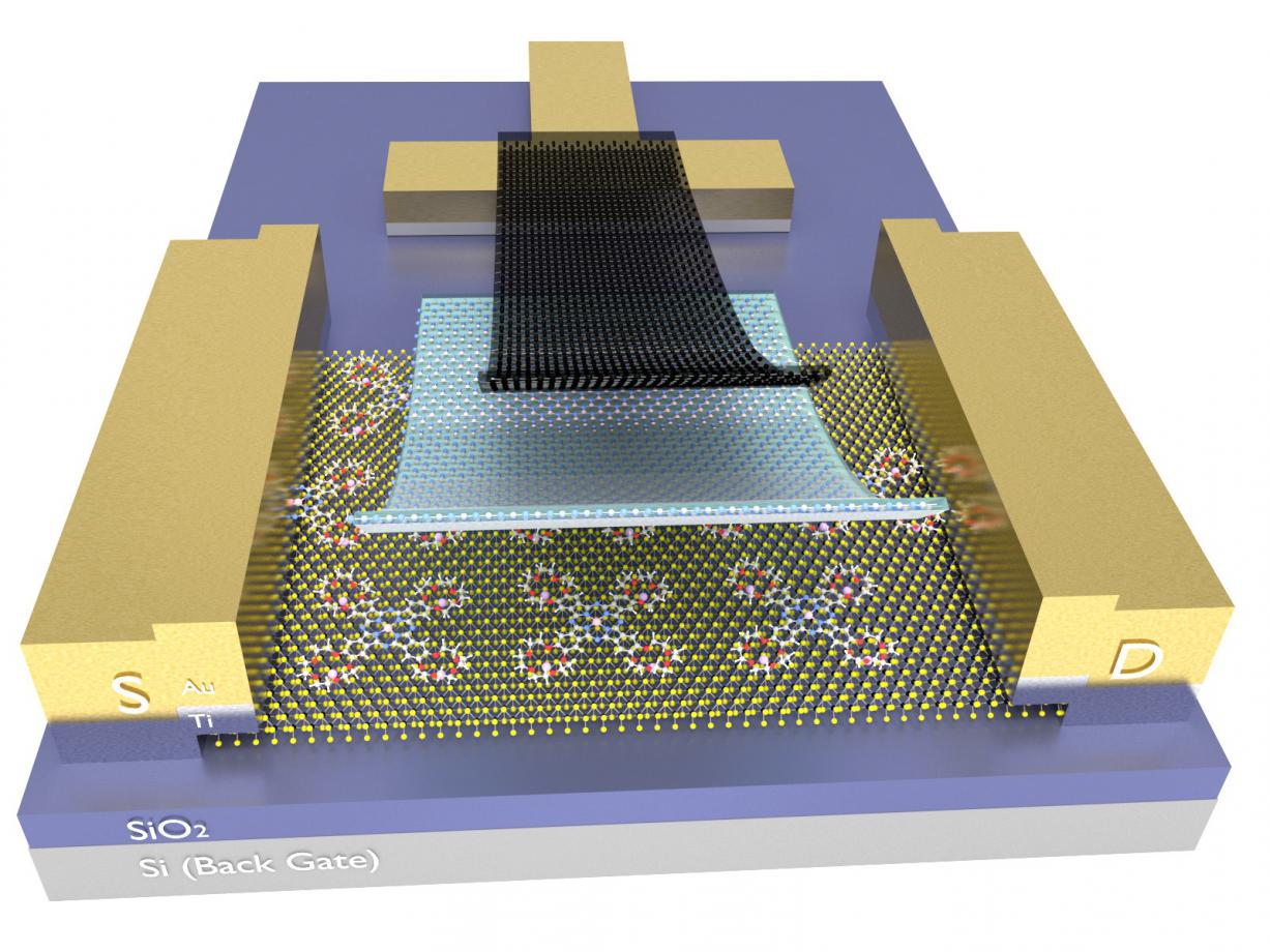 Transistor with two-dimensional materials